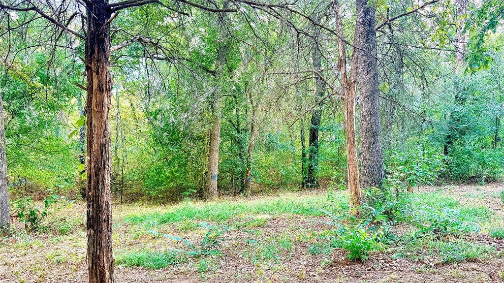 136 Bent Tree Circle, Eustace, TX 75124 136 Bent Tree Circle, Eustace, TX 75124