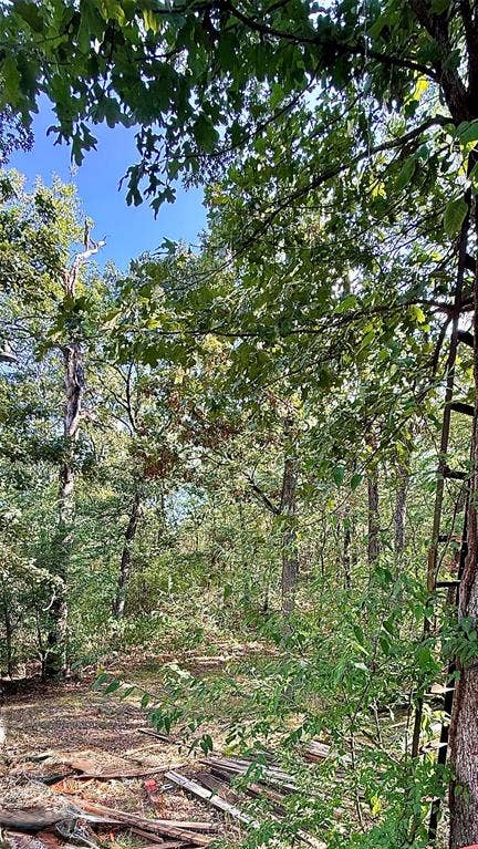 136 Bent Tree Circle, Eustace, TX 75124 136 Bent Tree Circle, Eustace, TX 75124