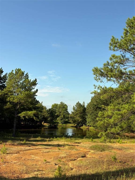 Property photo for 8965 N Us HWY 59, Woodlawn, TX