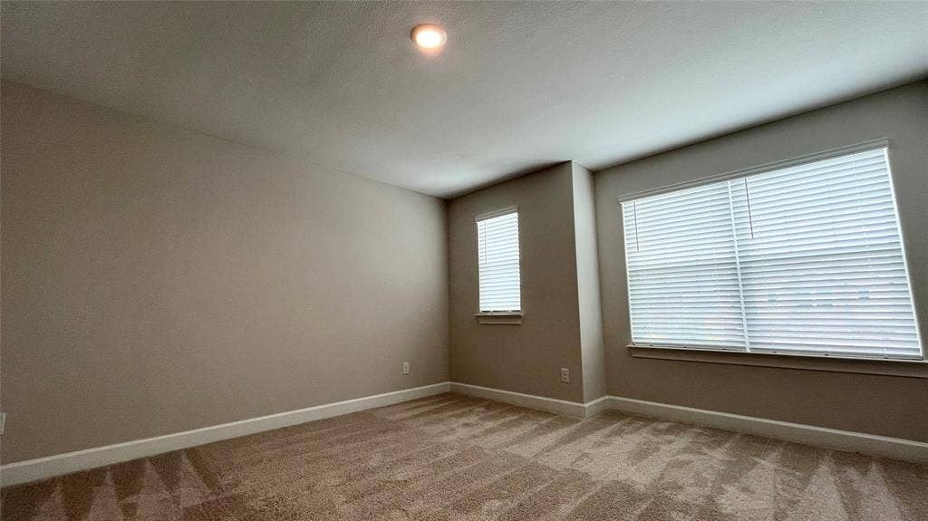 1101 Princeton Heights, Princeton, TX 75407 Carpeted flooring, recessed lighting, and multiple windows with blinds