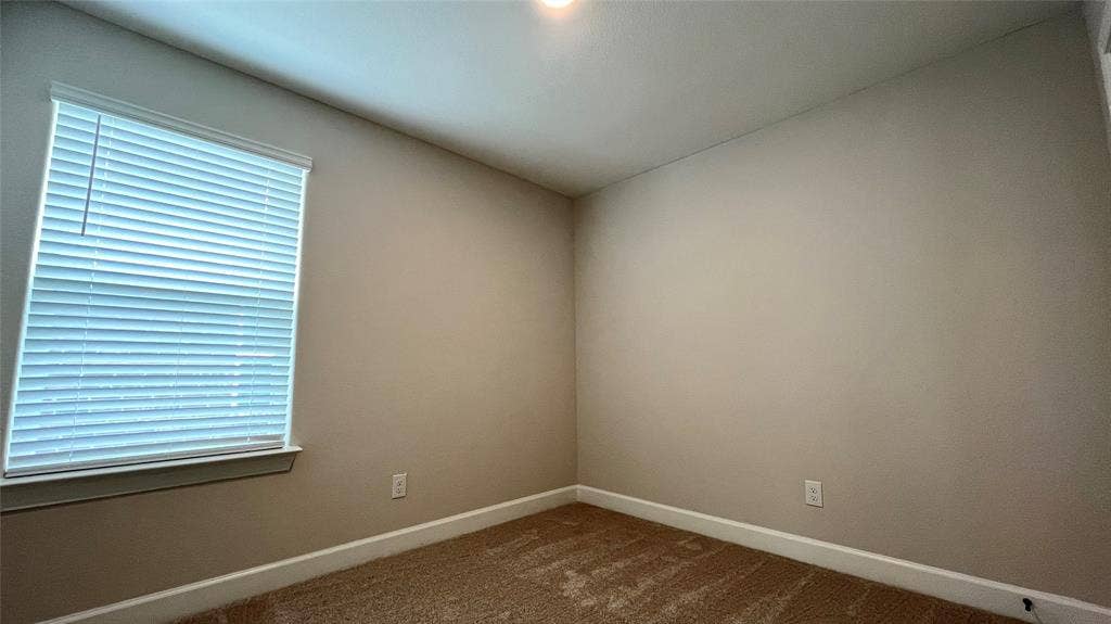 1101 Princeton Heights, Princeton, TX 75407 Window with white blinds, neutral wall paint, and carpeted flooring