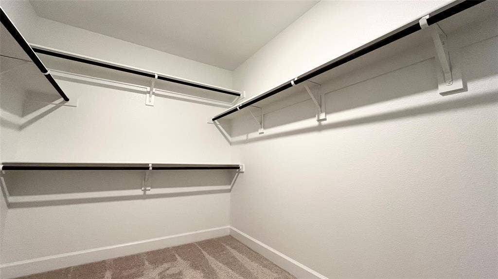 1101 Princeton Heights, Princeton, TX 75407 Walk-in closet featuring white walls, carpet flooring, and multiple built-in shelving units with hanging rods