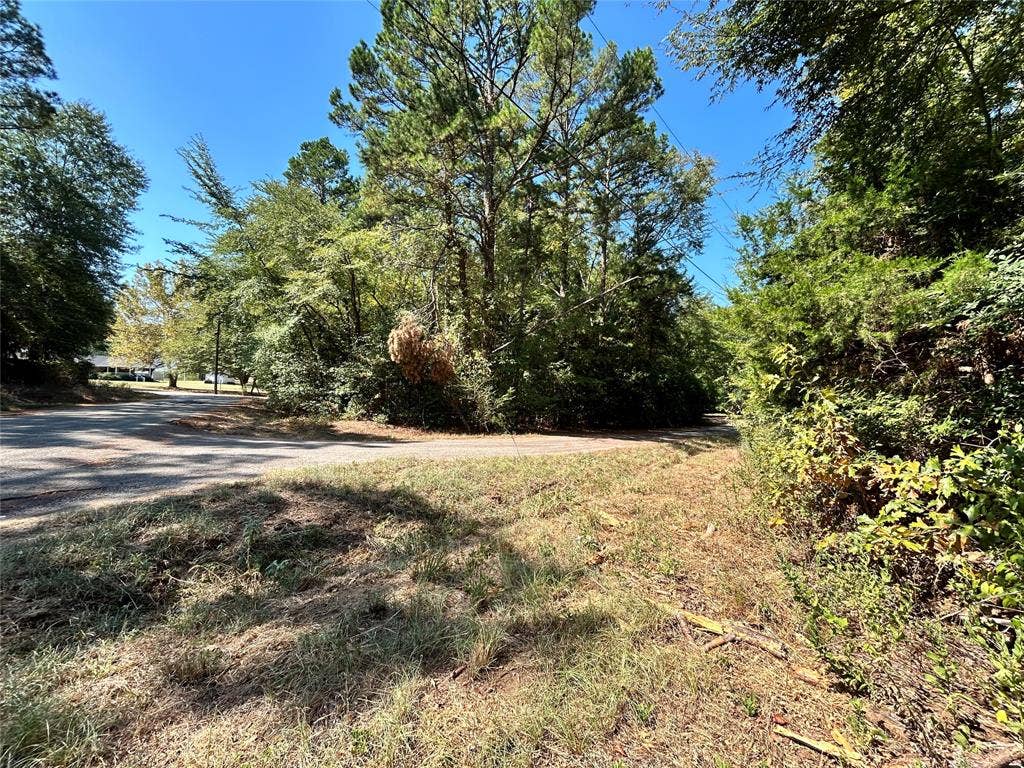 11 Hillside Circle, Berryville, TX 75763 11 Hillside Circle, Berryville, TX 75763
