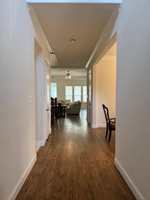 2913 Deansbrook Drive, Plano, TX 75093 2913 Deansbrook Drive, Plano, TX 75093