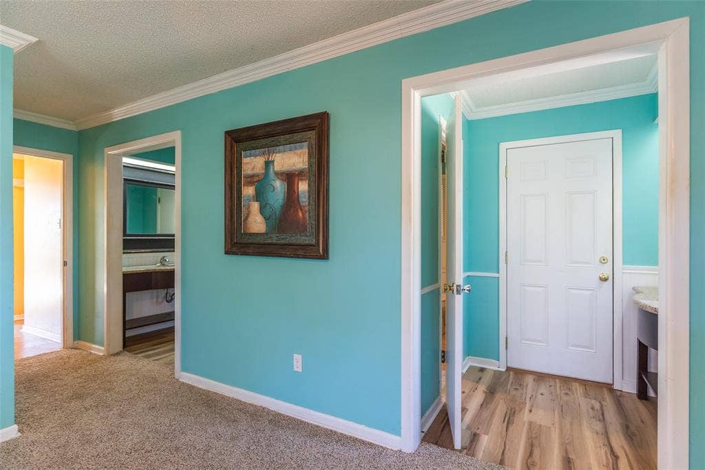 Crown molding throughout, carpeted hallway, wood-finish flooring, half-lite door, and wainscoting