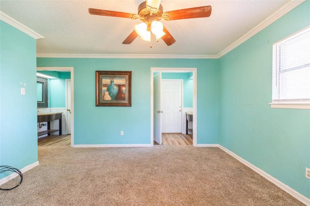 Carpeted flooring with crown molding, a ceiling fan, and a single window