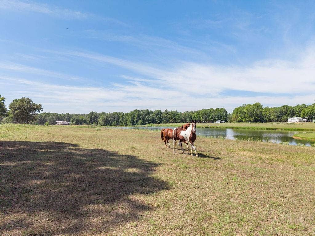 23888 County Road 2110, Troup, TX 75789