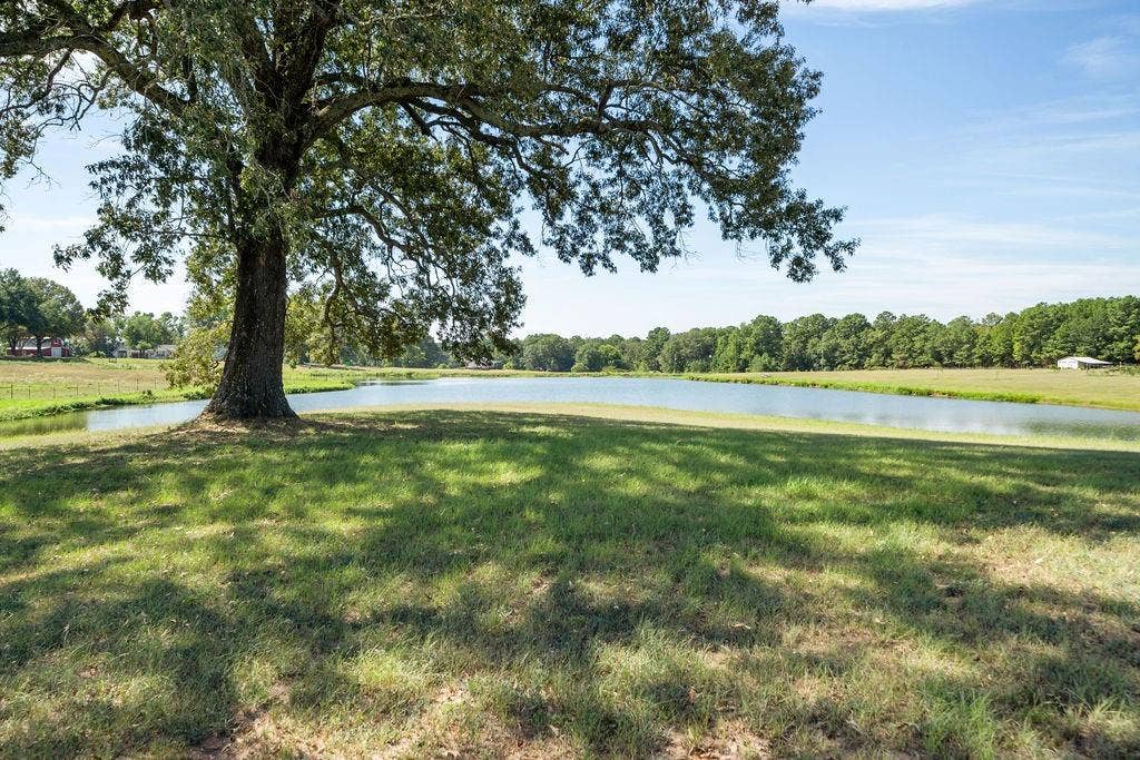 23888 County Road 2110, Troup, TX 75789