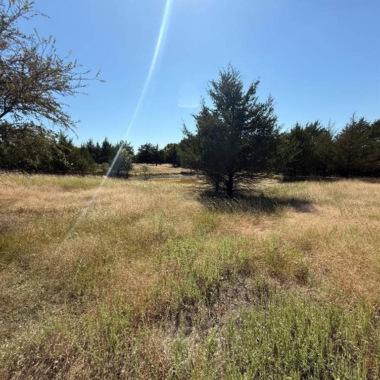 18081 Burden Ranch, Farmersville, TX 75442 18081 Burden Ranch, Farmersville, TX 75442