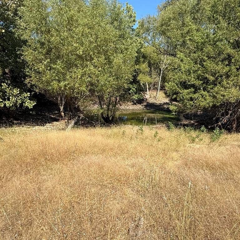 18081 Burden Ranch, Farmersville, TX 75442 18081 Burden Ranch, Farmersville, TX 75442