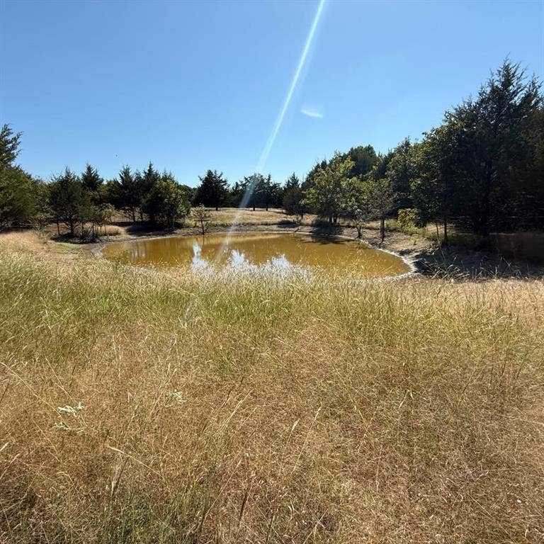 18081 Burden Ranch, Farmersville, TX 75442 18081 Burden Ranch, Farmersville, TX 75442