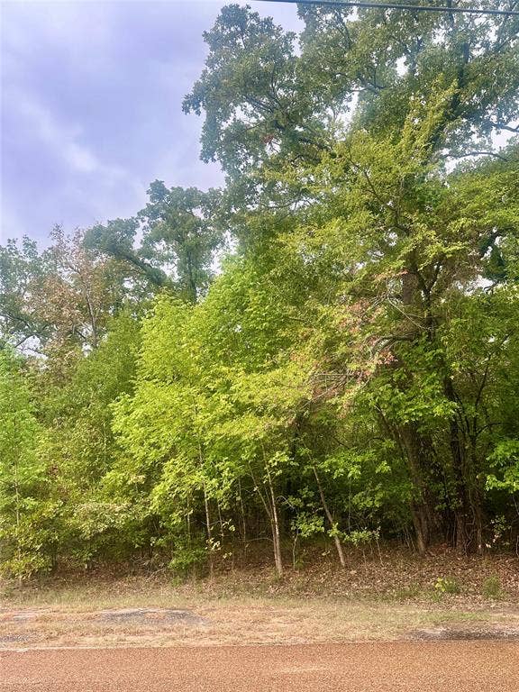 Property photo for 0 Alamo Road, Log Cabin, TX