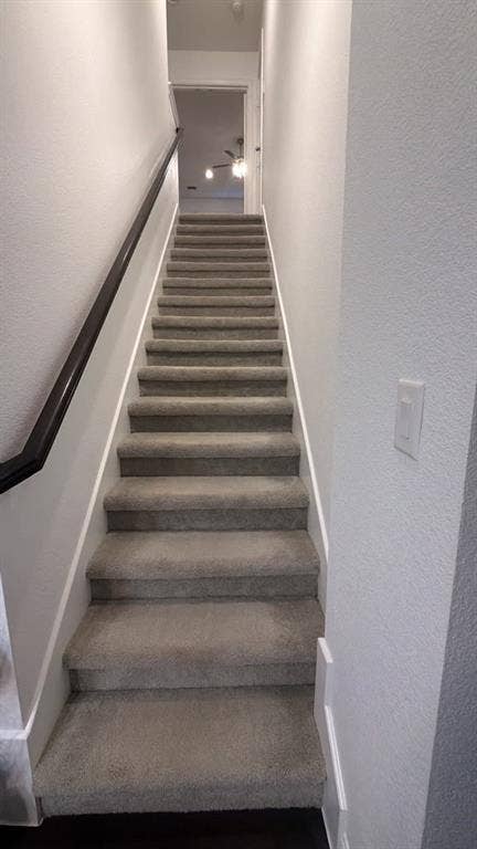 7610 Graystone Drive, Sachse, TX 75048 Carpeted staircase with a dark wood-finish handrail and crisp white risers