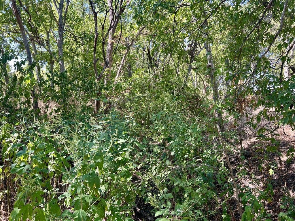 TBD Jasmine Lane Lane, Waco, TX 76706 TBD Jasmine Lane Lane, Waco, TX 76706