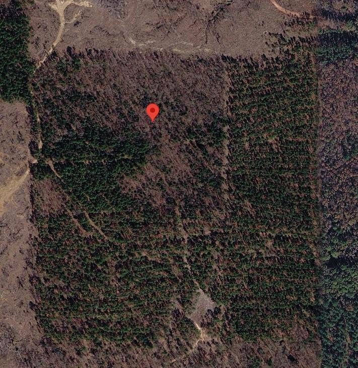 Property photo for Tract 3 County Road 3769, Queen City, TX