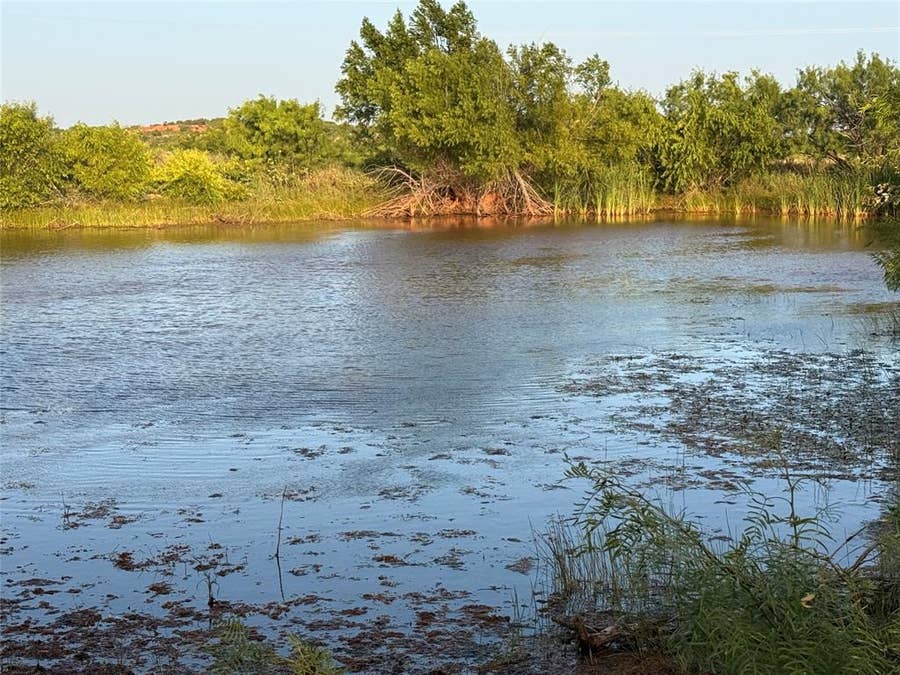 Property photo for 5725 Farm Market. 604, Ovalo, TX