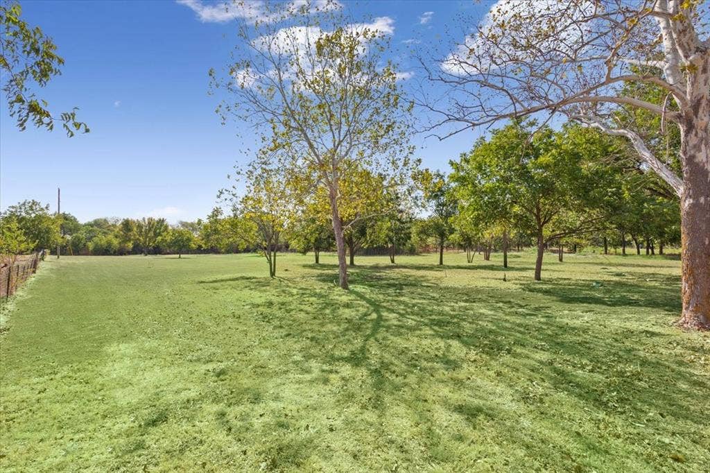 4246 Old Caufield Ranch Road, McGregor, TX 76657 Expansive green space featuring mature trees and a perimeter fence