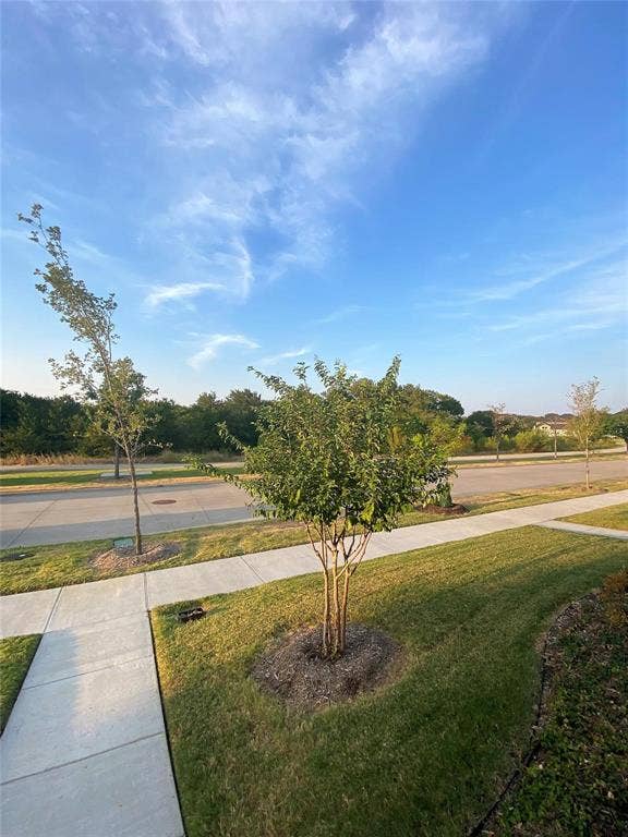 7297 Sacaton Trail, Frisco, TX 75033 Greenbelt and Walking Trail View from Front of Townhome