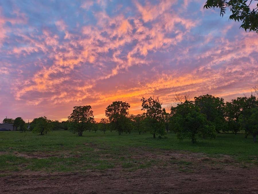 Property photo for 6189 Private Road 2752, Clyde, TX