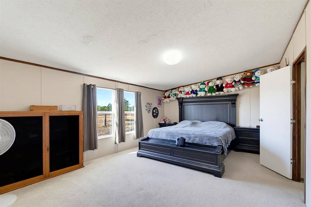 Large Primary Bedroom