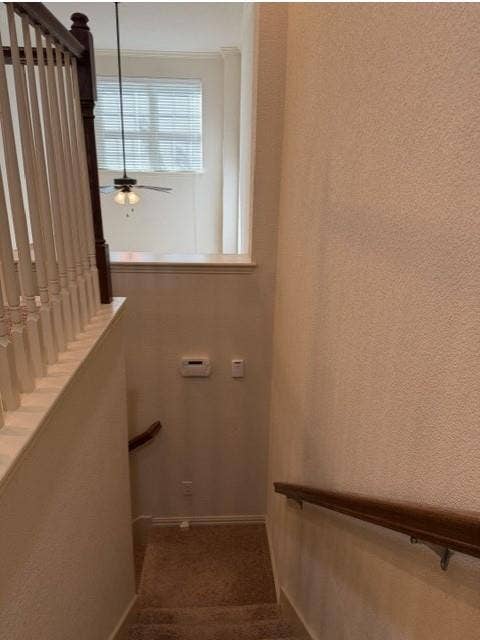 6828 Pascal Way, Fort Worth, TX 76137 6828 Pascal Way, Fort Worth, TX 76137