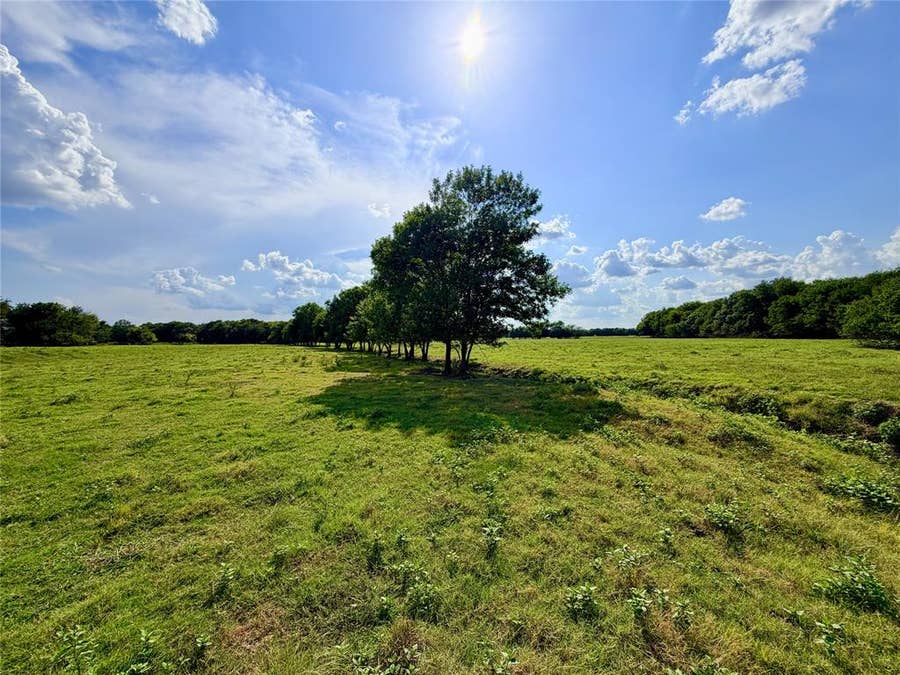 Property photo for TBD CR 2145, Cooper, TX