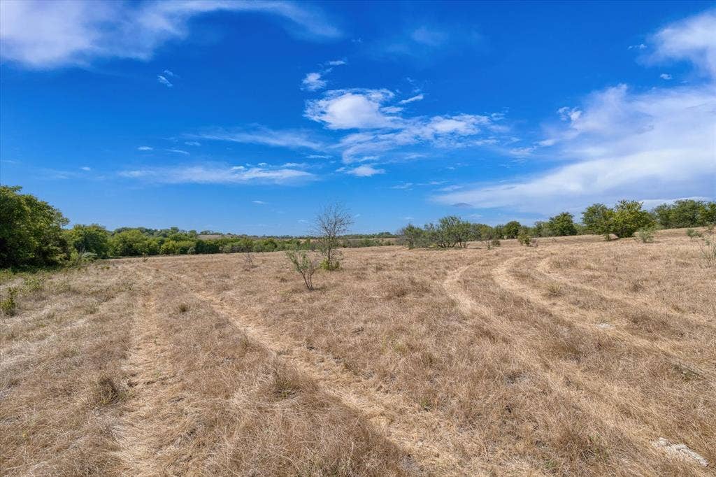 TBD Horne Hill Road, Moody, TX 76557 Expansive open land featuring mature trees and a clear blue sky overhead