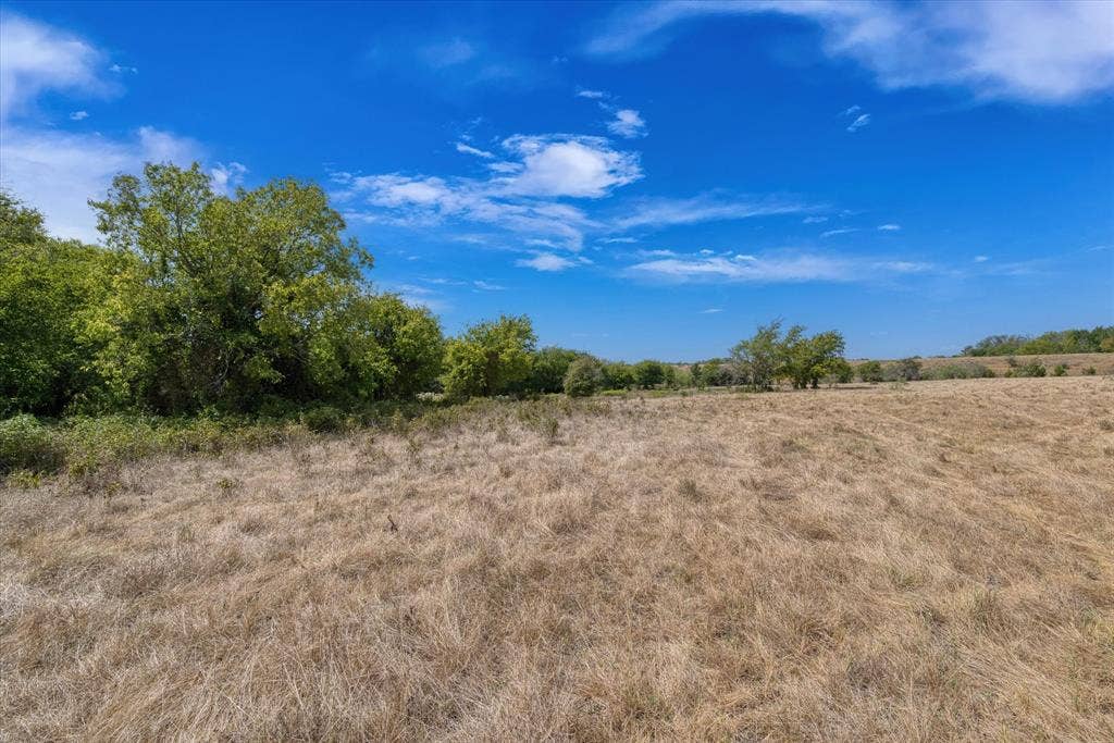 TBD Horne Hill Road, Moody, TX 76557 Expansive open field with natural vegetation and distant trees