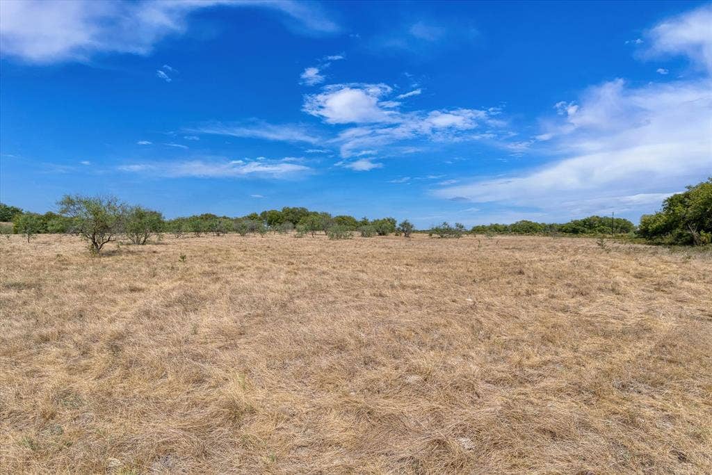 TBD Horne Hill Road, Moody, TX 76557 Expansive open acreage featuring natural ground cover and scattered mature trees