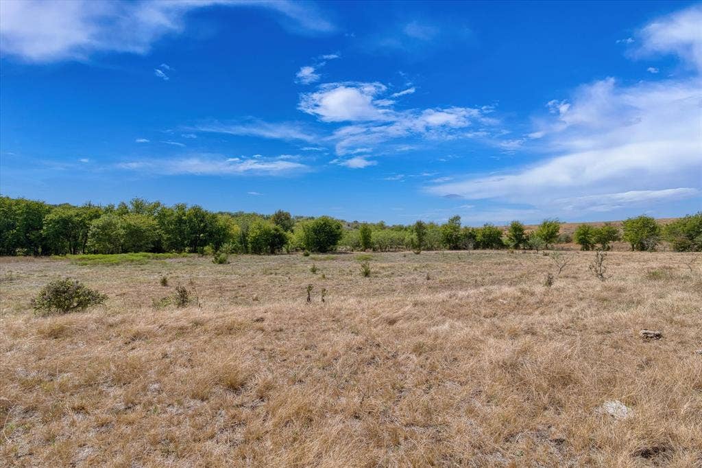 TBD Horne Hill Road, Moody, TX 76557 Expansive open field featuring natural grasses and distant mature trees