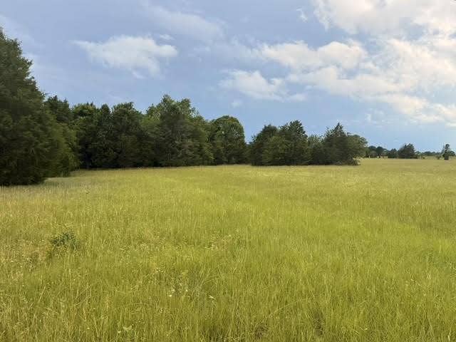 TBD A CR 2500, Eustace, TX 75124 TBD A CR 2500, Eustace, TX 75124
