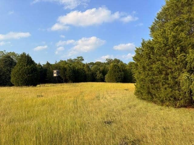 TBD A CR 2500, Eustace, TX 75124 TBD A CR 2500, Eustace, TX 75124