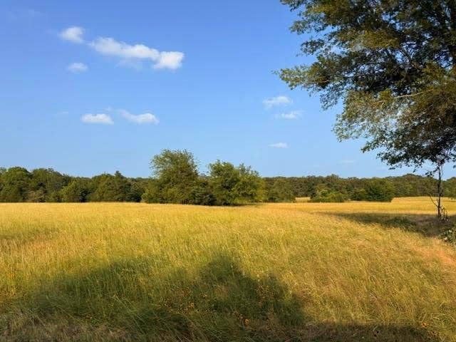 TBD CR 2501, Eustace, TX 75124 TBD CR 2501, Eustace, TX 75124