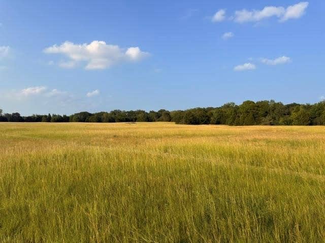 TBD CR 2501, Eustace, TX 75124 TBD CR 2501, Eustace, TX 75124