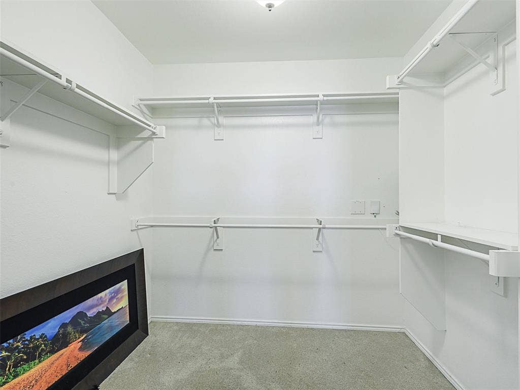 7470 Birmingham Forest Drive, Frisco, TX 75036 Walk in closet featuring carpet flooring