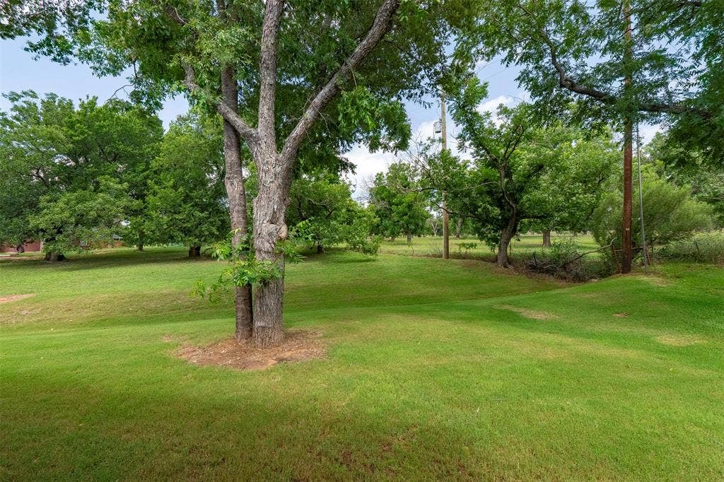 10301 Ravenswood Road, Granbury, TX 76049 Orchard view