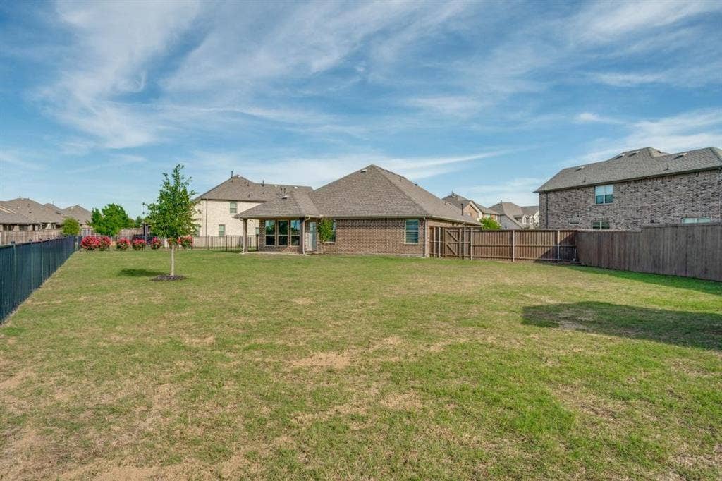 6229 Gloucester Drive, Celina, TX 76227 Expansive lawn area with a young tree, bordered by a black metal fence and wood privacy fencing