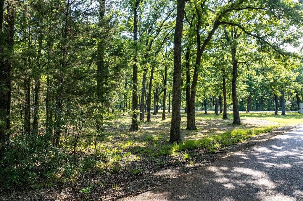 104 Lark Drive, Enchanted Oaks, TX 75156 104 Lark Drive, Enchanted Oaks, TX 75156