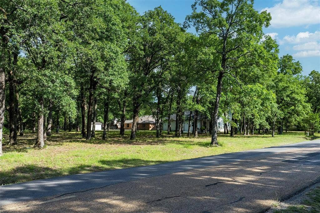 104 Lark Drive, Enchanted Oaks, TX 75156 104 Lark Drive, Enchanted Oaks, TX 75156