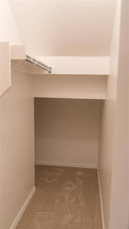 Large storage closet under stairwell