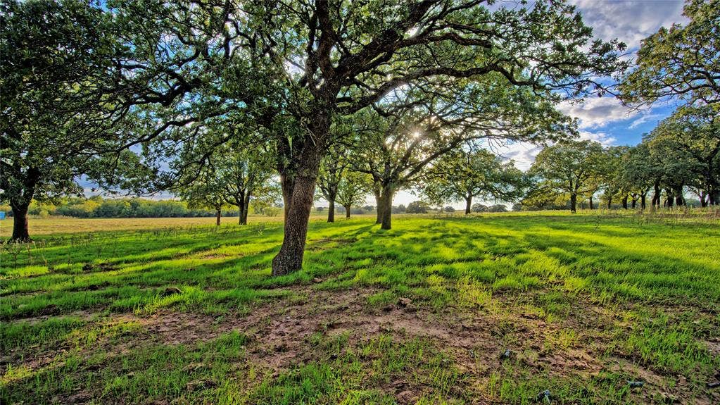 2519 Upper Montague Road, Bowie, TX 76230