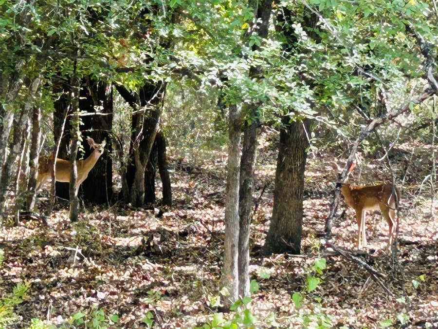 Property photo for TBD Westmeadow Dr, Whitney, TX