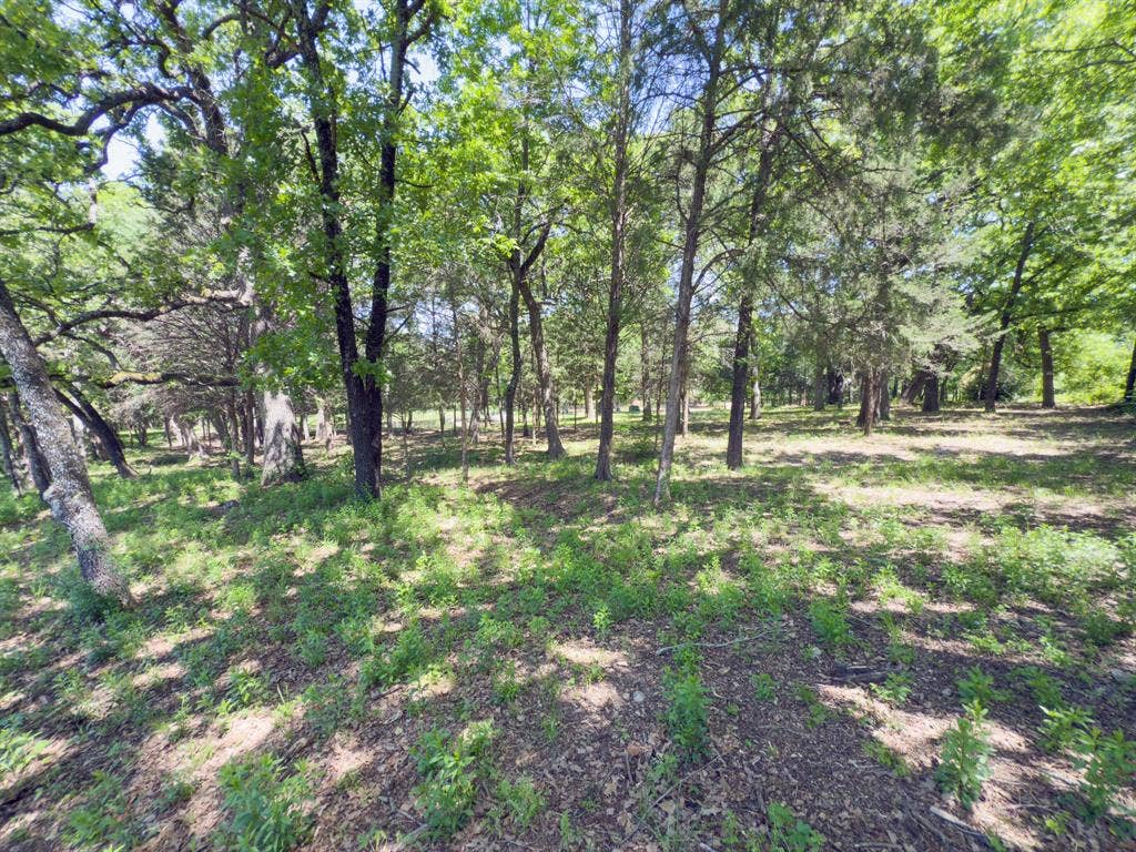 125 Harrell Street, Gun Barrel City, TX 75156 125 Harrell Street, Gun Barrel City, TX 75156