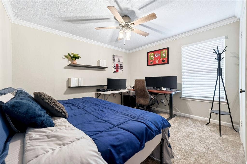 Recessed lighting, crown molding, ceiling fan, carpeted flooring, and a window with blinds