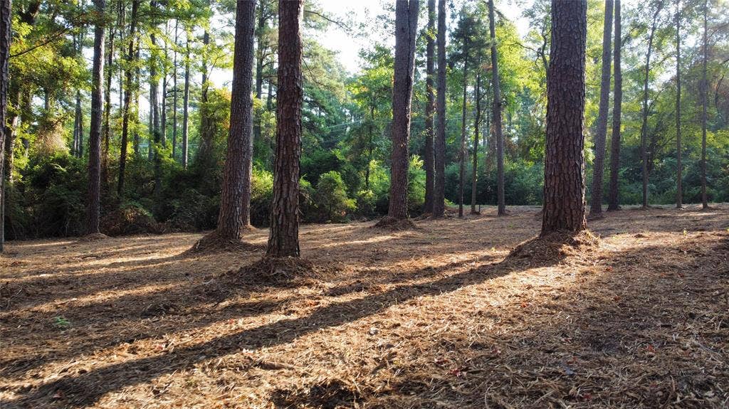 TBD County Road 192, #6, Tyler, TX 75703