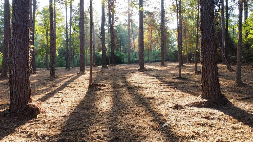 TBD County Road 192, #6, Tyler, TX 75703