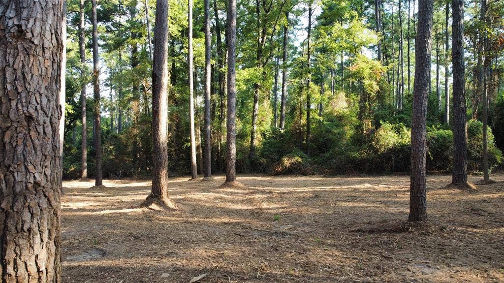 TBD County Road 192, #6, Tyler, TX 75703