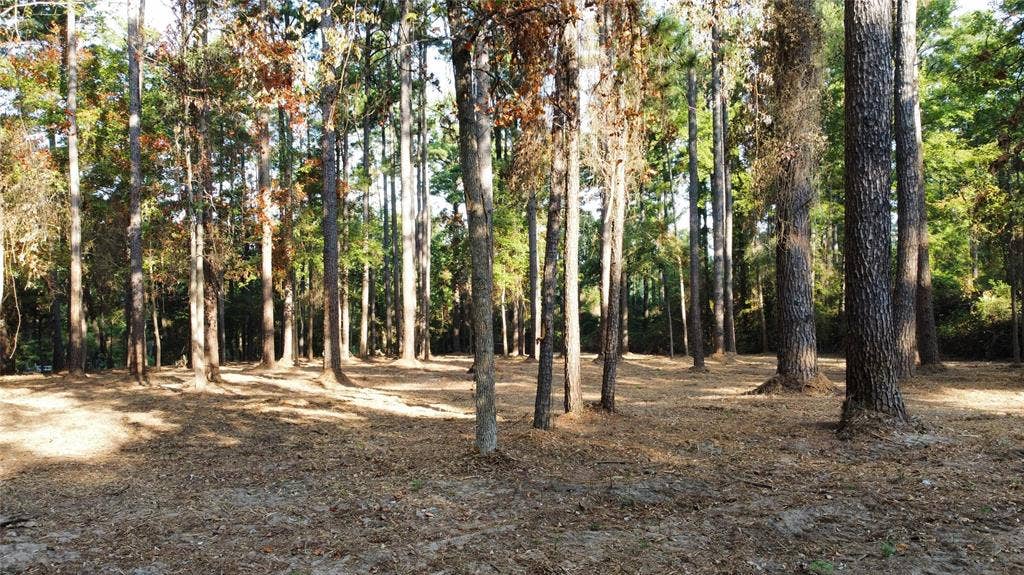 TBD County Road 192, #6, Tyler, TX 75703