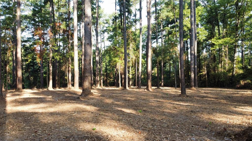 TBD County Road 192, #6, Tyler, TX 75703