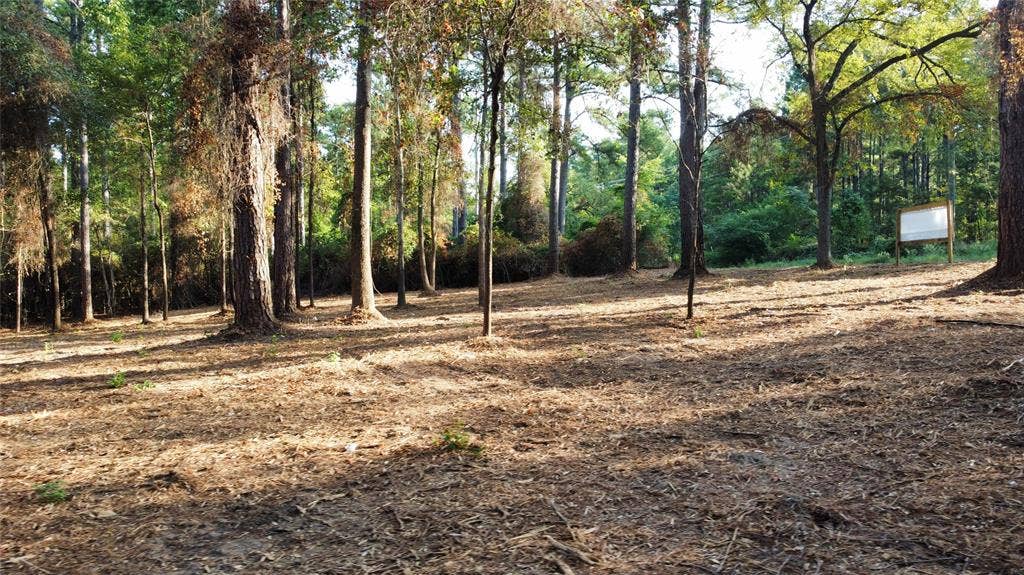 TBD C R 192, #8, Tyler, TX 75703 commercial lot with trees